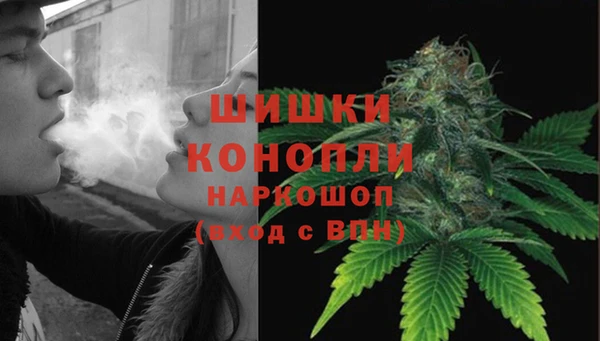 прущие грибы Абинск