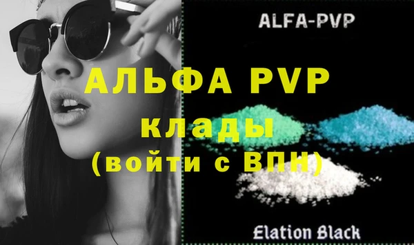 прущие грибы Абаза