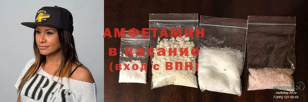 прущие грибы Абинск