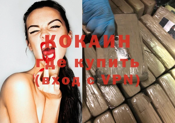 прущие грибы Абаза