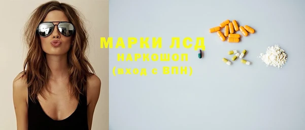 прущие грибы Абаза
