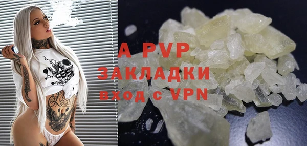 прущие грибы Абаза