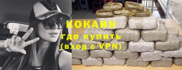 прущие грибы Абинск