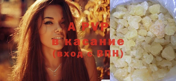 прущие грибы Абаза