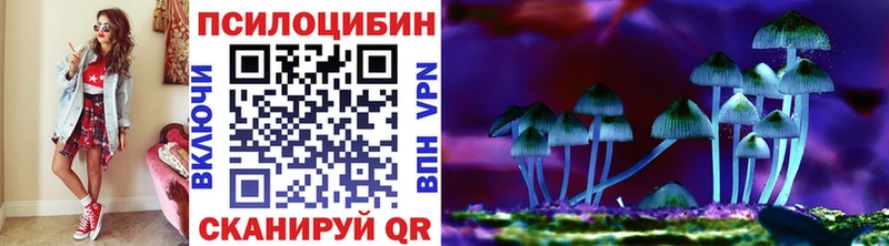 OMG ссылка  Красноперекопск  Псилоцибиновые грибы мицелий 